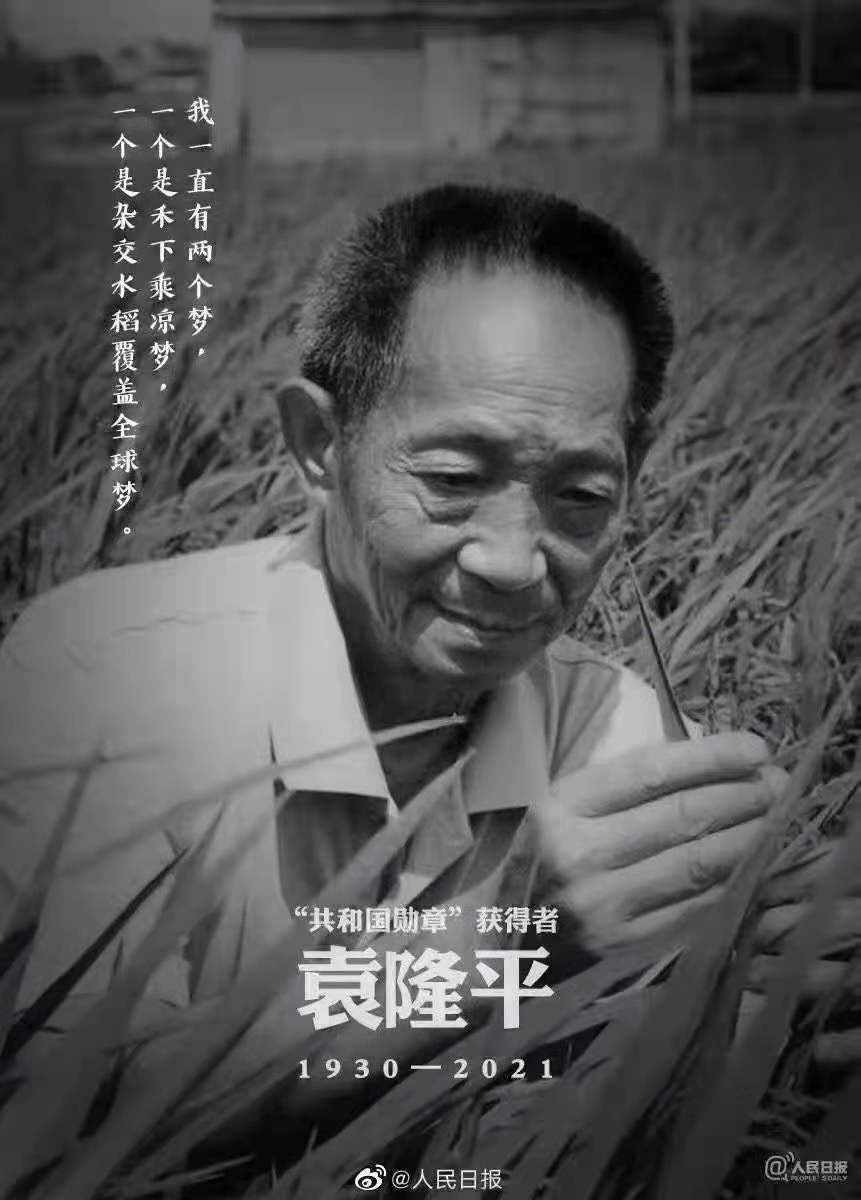 緬懷，國之脊梁——雜交水稻之父